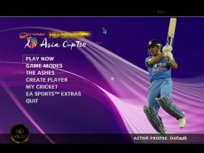 Asia Cup T20 Cricket game Screenshots