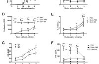 What does measles virus IgG EIA positive mean?